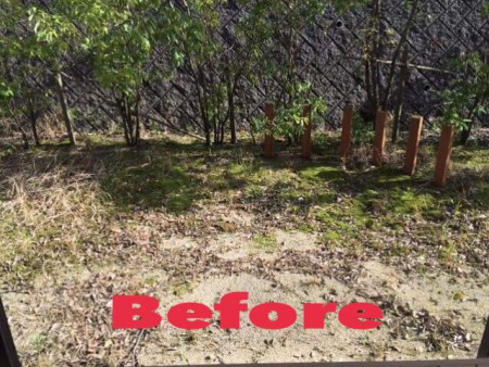 大分市　S様邸　お庭のお手入れ開始。がんばります！