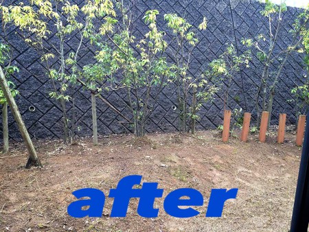 とても綺麗になりました。